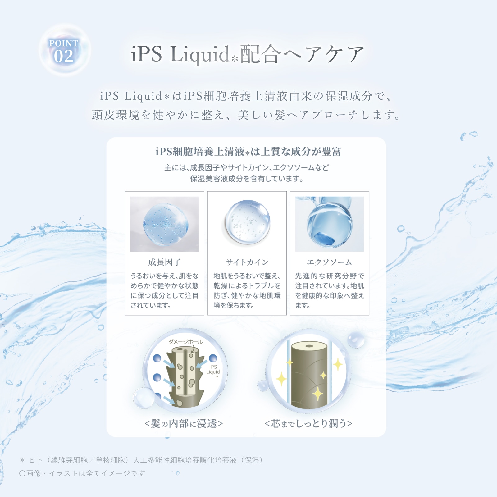 Qoo10] IP iPS スキンケア シャンプー ヘアトリ