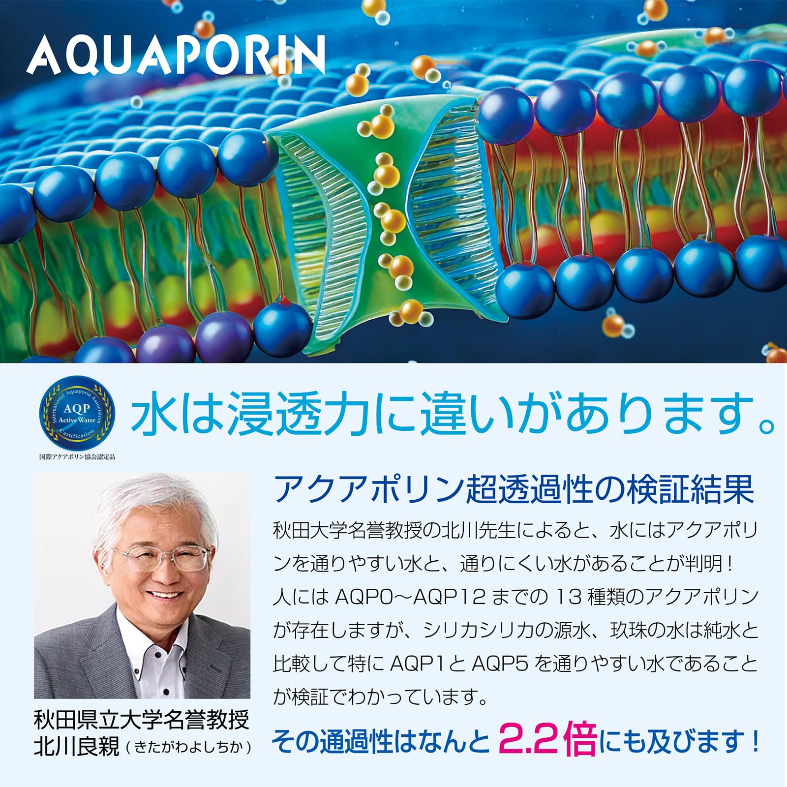 シリカシリカ 500ml 24本入 シリカ水 ミネラルウォーター 天然水 九州産 シリカ72mg/L以上含有 大分日田 九重連山 シリカシリカ 500ml 24本入 シリカ水 ミネラルウォーター 天然水 九州産 シリカ72mg/L以上含有 大分日田 九重連山