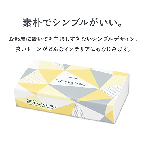 【20個セット】アイリスプラザ ティッシュ ソフトパック 日本製 300枚(150組)×100パック スマートエール