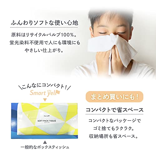 【20個セット】アイリスプラザ ティッシュ ソフトパック 日本製 300枚(150組)×100パック スマートエール