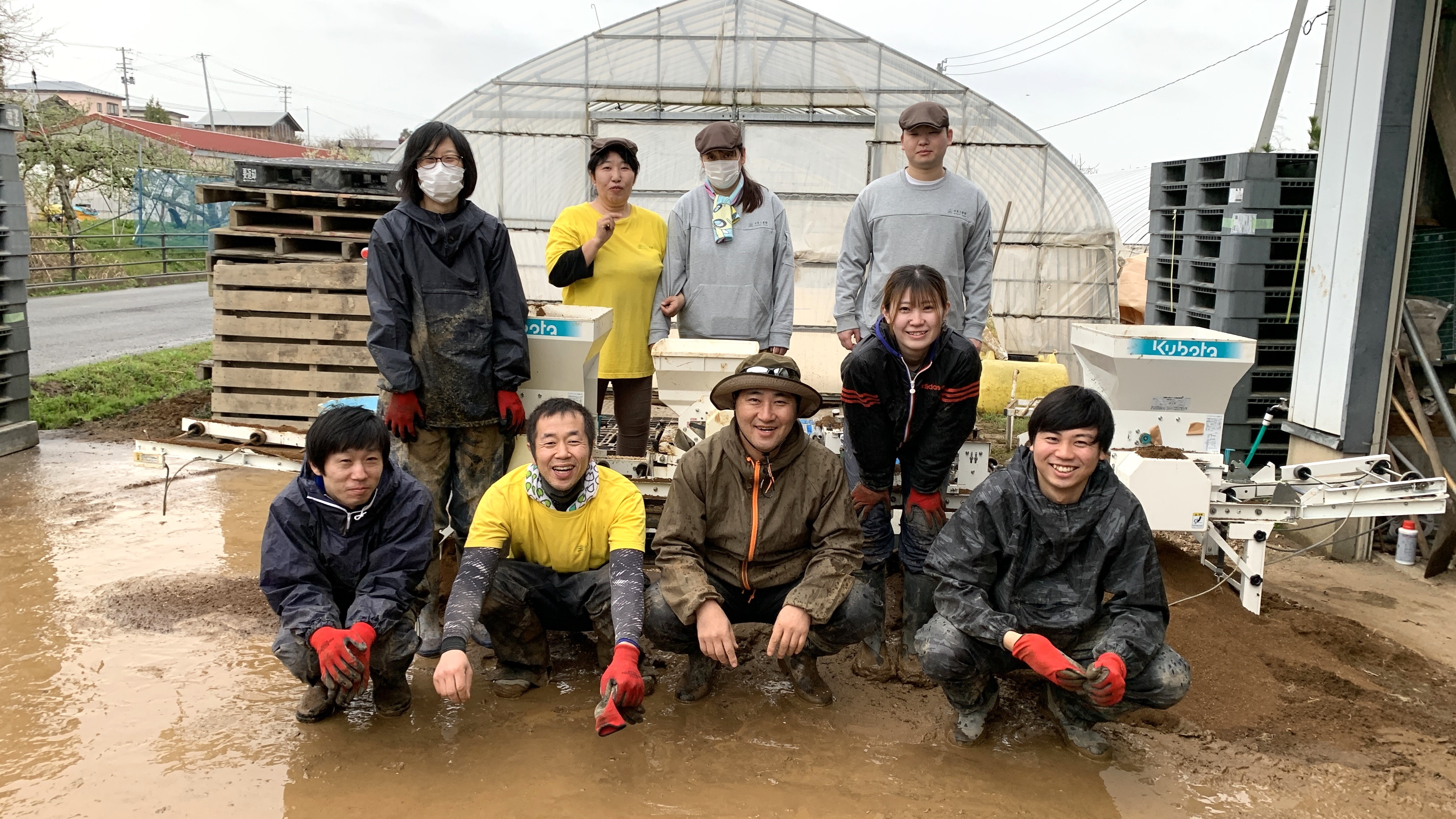 新米 ひとめぼれ 宮城県産 5kg & つや姫 山形県産 5kg 精米セット 令和6年産　古代米付き