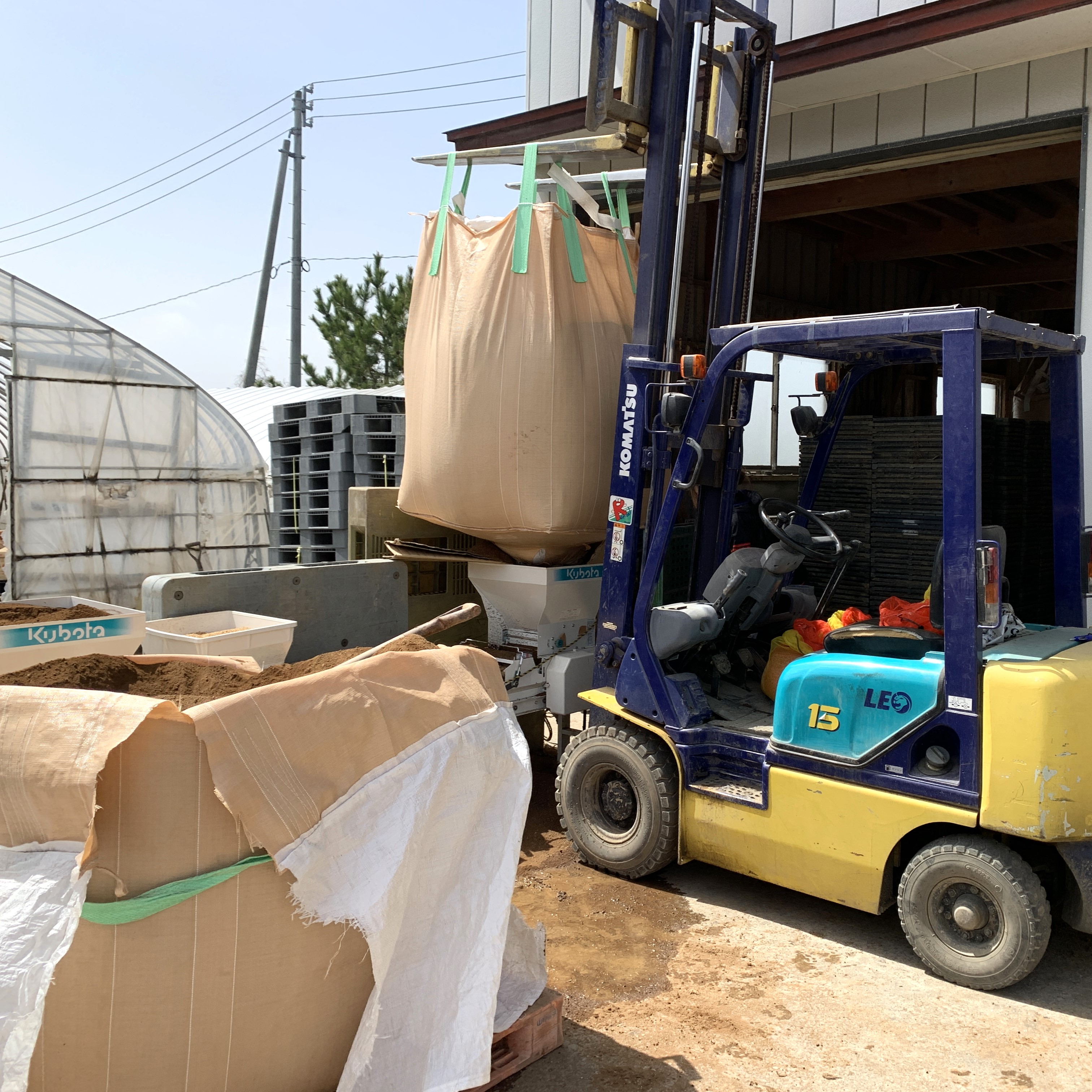 新米 ひとめぼれ 宮城県産 5kg & つや姫 山形県産 5kg 精米セット 令和6年産　古代米付き