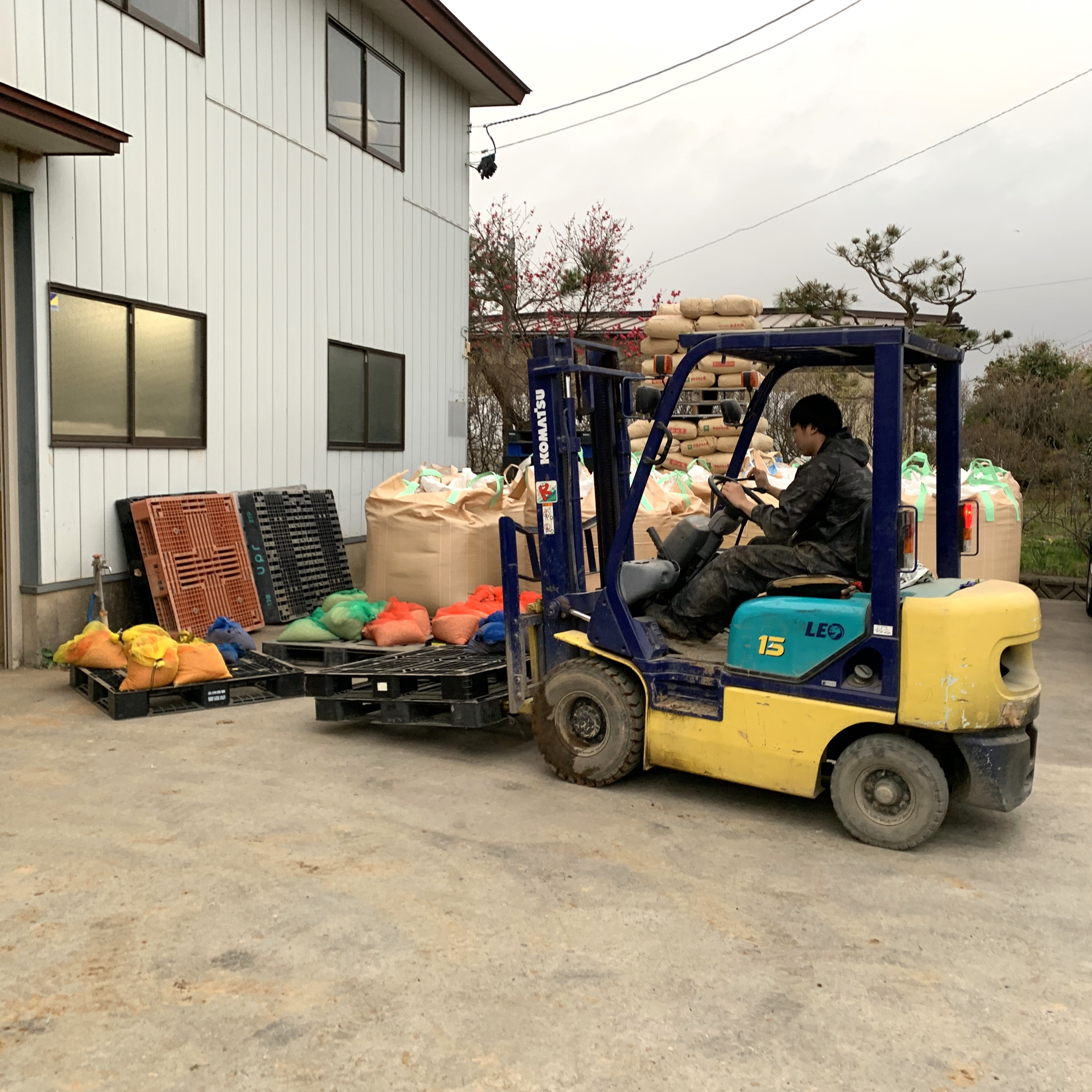 新米 ひとめぼれ 宮城県産 5kg & つや姫 山形県産 5kg 精米セット 令和6年産　古代米付き