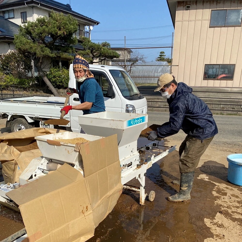 新米 ひとめぼれ 宮城県産 5kg & つや姫 山形県産 5kg 精米セット 令和6年産　古代米付き