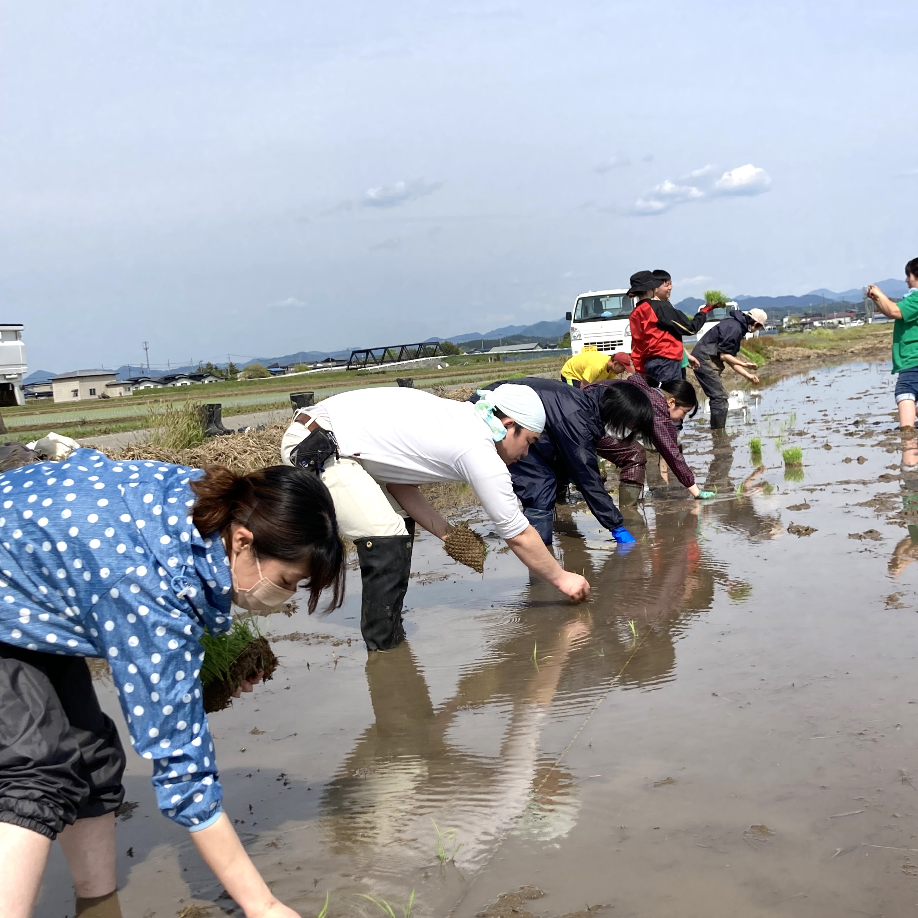 新米 ひとめぼれ 宮城県産 5kg & つや姫 山形県産 5kg 精米セット 令和6年産　古代米付き