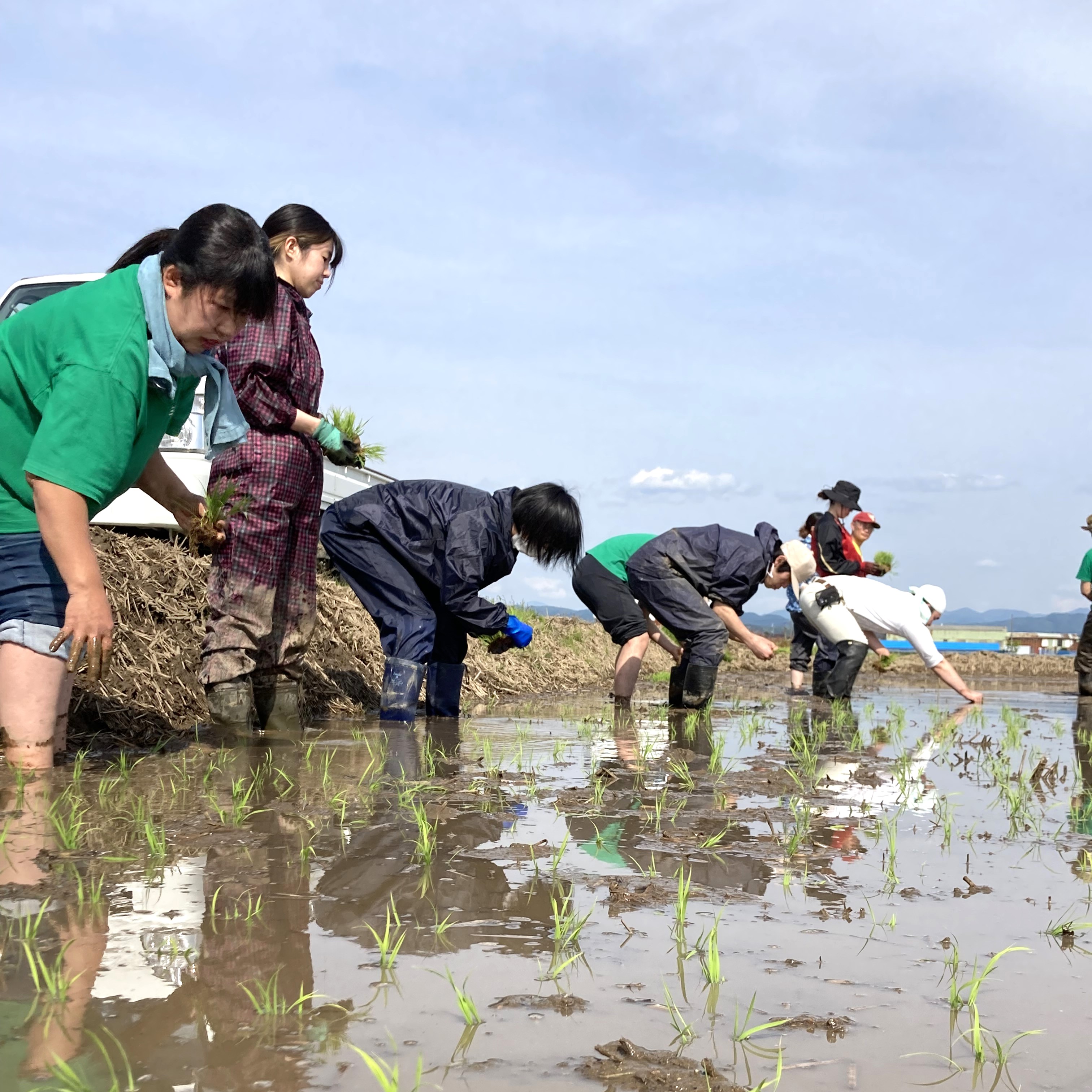 新米 ひとめぼれ 宮城県産 5kg & つや姫 山形県産 5kg 精米セット 令和6年産　古代米付き