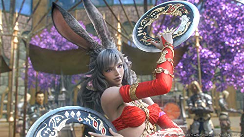 得価 ファイナルファンタジーXIV : テレビゲーム 即納お得
