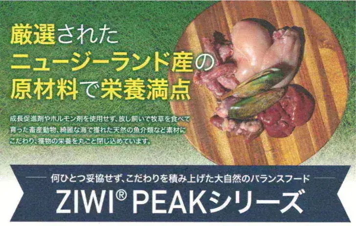 ZIWI キャット缶 グラスフェッドビーフ 85g10缶セット 正規品 ジウィピーク プレミアム ウェットフード キャットフード 猫 缶詰 猫缶 缶詰め オールライフステージ 全猫種用