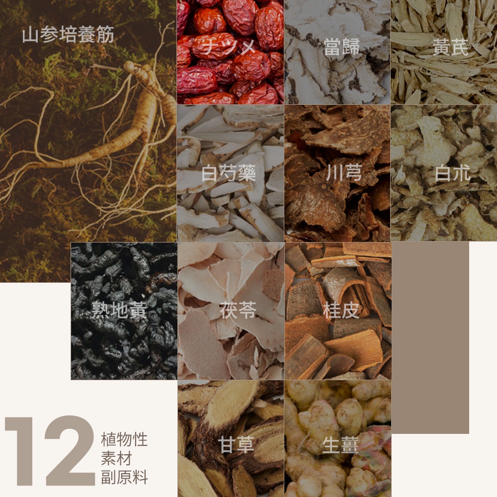 [CHEUM100包] [1+1 EVENT] 6年根高麗紅参精満たしスティック(10gx100包)/紅参正/安いセット