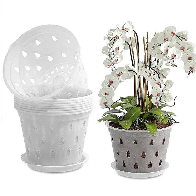 早くを選んで10セットプラスチック 蘭の鉢 観葉植物 オーキッドポット 洋蘭 直径125cm 直径15cm 直径172cm 直径11cm 透明 多肉植物 ト 早くを選んで10セットプラスチック 蘭の鉢 観葉植物 オーキッドポット 洋蘭 直径125cm 直径15cm 直径172cm 直径11cm 透明 多肉植物 ト