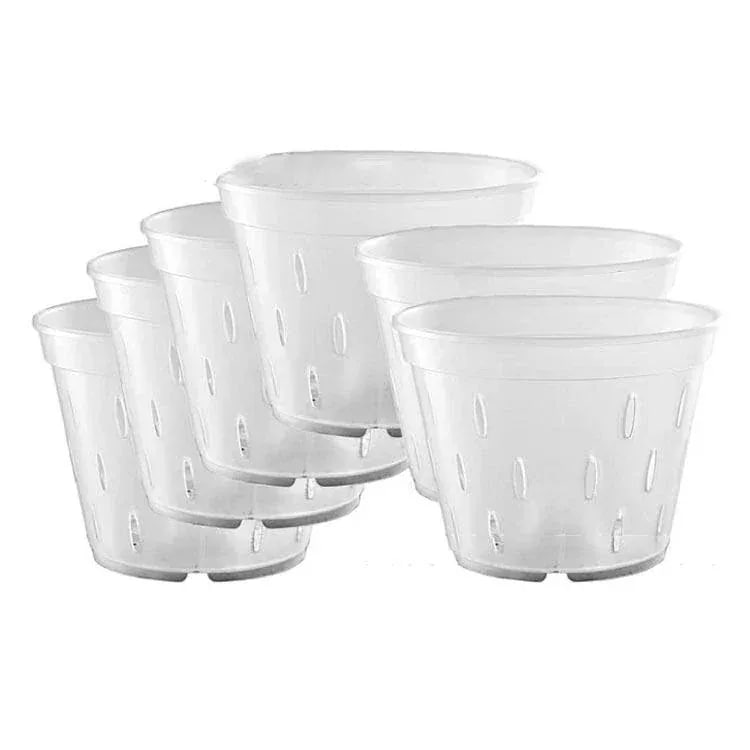 早くを選んで10セットプラスチック 蘭の鉢 観葉植物 オーキッドポット 洋蘭 直径125cm 直径15cm 直径172cm 直径11cm 透明 多肉植物 ト 早くを選んで10セットプラスチック 蘭の鉢 観葉植物 オーキッドポット 洋蘭 直径125cm 直径15cm 直径172cm 直径11cm 透明 多肉植物 ト