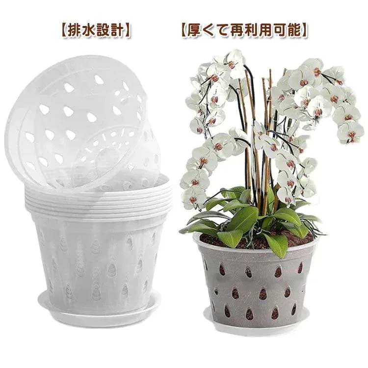 早くを選んで10セットプラスチック 蘭の鉢 観葉植物 オーキッドポット 洋蘭 直径125cm 直径15cm 直径172cm 直径11cm 透明 多肉植物 ト 早くを選んで10セットプラスチック 蘭の鉢 観葉植物 オーキッドポット 洋蘭 直径125cm 直径15cm 直径172cm 直径11cm 透明 多肉植物 ト
