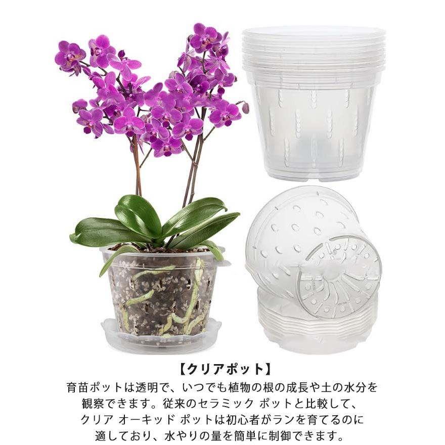 早くを選んで10セットプラスチック 蘭の鉢 観葉植物 オーキッドポット 洋蘭 直径125cm 直径15cm 直径172cm 直径11cm 透明 多肉植物 ト 早くを選んで10セットプラスチック 蘭の鉢 観葉植物 オーキッドポット 洋蘭 直径125cm 直径15cm 直径172cm 直径11cm 透明 多肉植物 ト
