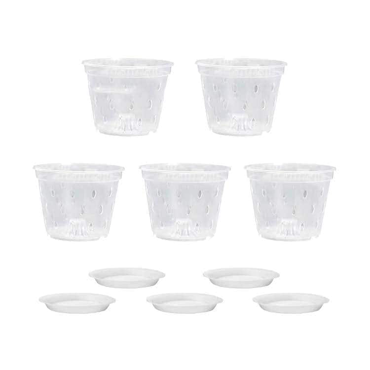 早くを選んで10セットプラスチック 蘭の鉢 観葉植物 オーキッドポット 洋蘭 直径125cm 直径15cm 直径172cm 直径11cm 透明 多肉植物 ト 早くを選んで10セットプラスチック 蘭の鉢 観葉植物 オーキッドポット 洋蘭 直径125cm 直径15cm 直径172cm 直径11cm 透明 多肉植物 ト