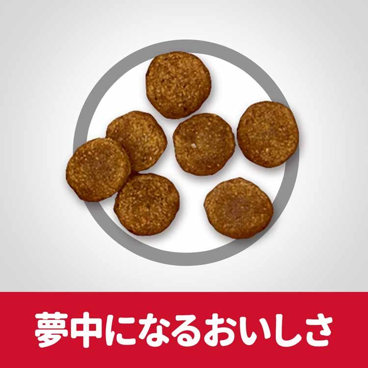 【人気商品】【犬】ヒルズ 小型犬用 シニア 5kg サイエンスダイエット ヒルズ プレミアムフード ドッグ 小型犬 高齢犬 大袋 7歳以上 心臓腎臓 Hills