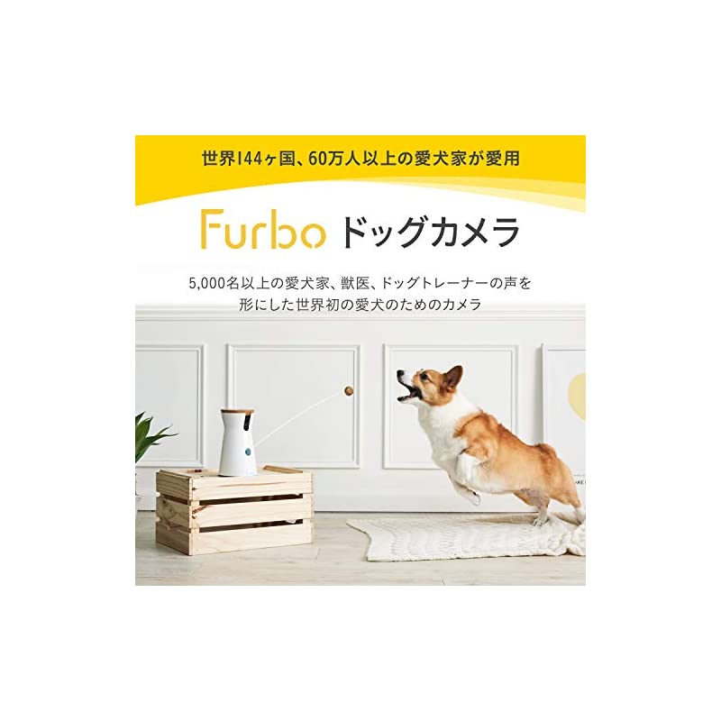 即納Furbo [ファーボ... : 日用品雑貨 ドッグカメラ 高評価安い