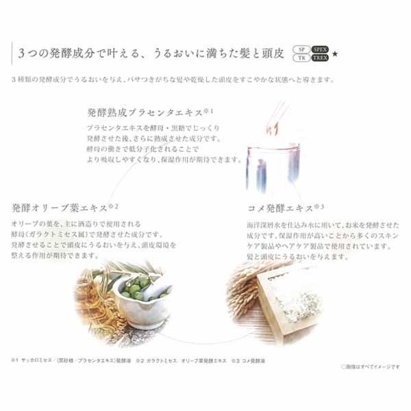 サンコール R-21 EX シャンプー 500mL + EX トリートメント 500g ヘアオイル グロス 100ml ベースミスト 180ml セット エイジング毛 ハリコシ ヘマチン ボリュームア サンコール R-21 EX シャンプー 500mL + EX トリートメント 500g ヘアオイル グロス 100ml ベースミスト 180ml セット エイジング毛 ハリコシ ヘマチン ボリュームア