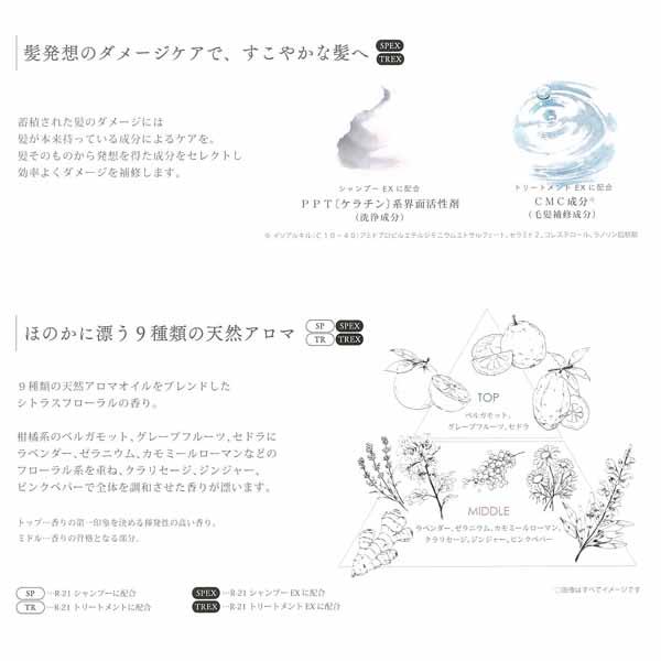 サンコール R-21 EX シャンプー 500mL + EX トリートメント 500g ヘアオイル グロス 100ml ベースミスト 180ml セット エイジング毛 ハリコシ ヘマチン ボリュームア サンコール R-21 EX シャンプー 500mL + EX トリートメント 500g ヘアオイル グロス 100ml ベースミスト 180ml セット エイジング毛 ハリコシ ヘマチン ボリュームア