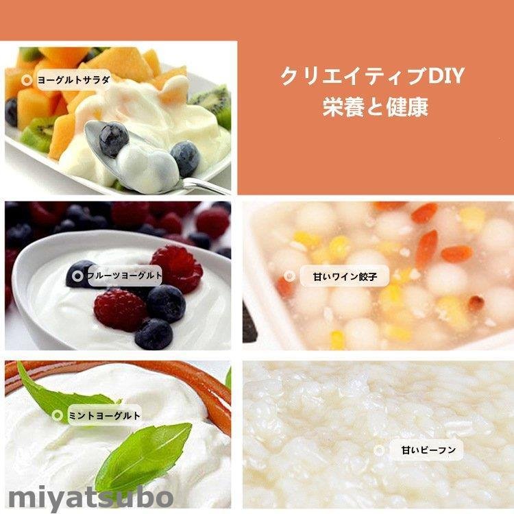 ヨーグルトマシン 商用12L大容量 全自動米酒の発酵かす 自家製フルーツヨーグルト発酵機 ヨーグルトマシン 商用12L大容量 全自動米酒の発酵かす 自家製フルーツヨーグルト発酵機