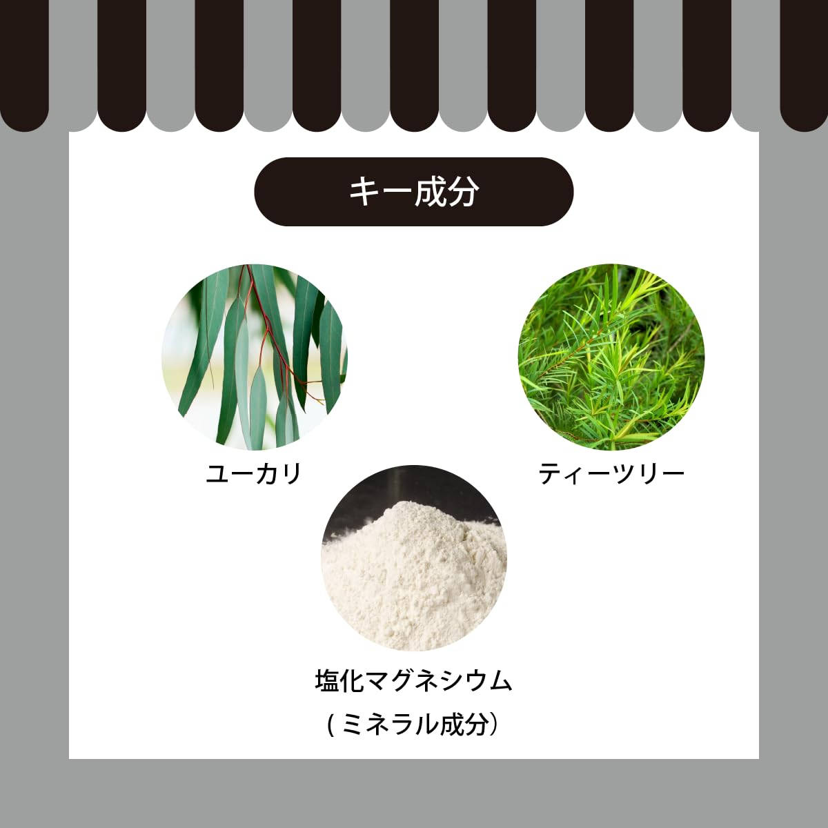 A.P.D.C. ドッグ クレンジング シャンプー 500ml (新パッケージ品) 全犬種対応 ハーブ 皮脂落とし A.P.D.C. ドッグ クレンジング シャンプー 500ml (新パッケージ品) 全犬種対応 ハーブ 皮脂落とし