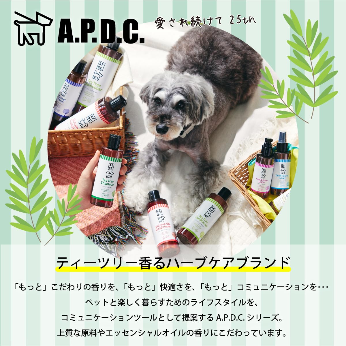 A.P.D.C. ドッグ クレンジング シャンプー 500ml (新パッケージ品) 全犬種対応 ハーブ 皮脂落とし A.P.D.C. ドッグ クレンジング シャンプー 500ml (新パッケージ品) 全犬種対応 ハーブ 皮脂落とし