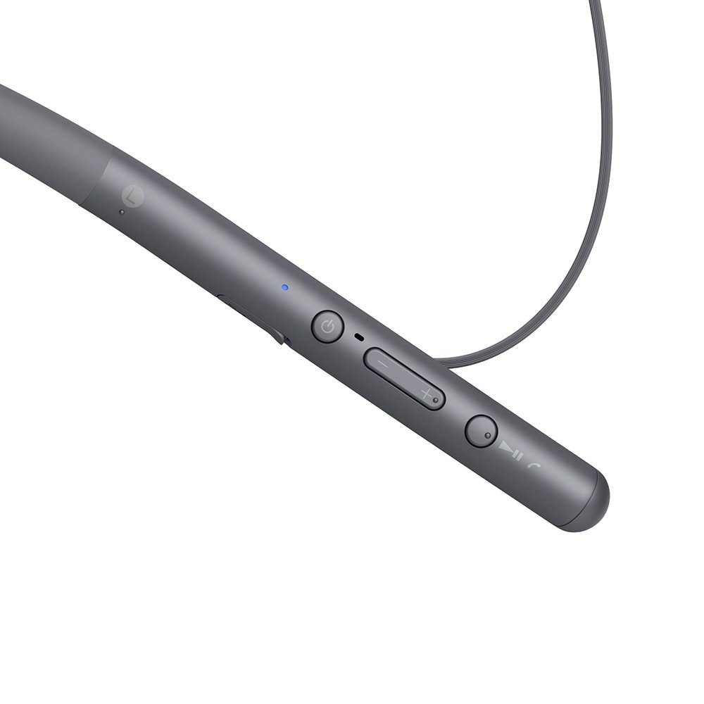 ソニー SONY ワイヤレスイヤホン h.ear in 2 Wireless WI-H700