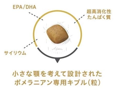 ロイヤルカナン BHN ポメラニアン 成犬～高齢犬用 生後8ヵ月齢以上 1.5kg ドライ ドックフード
