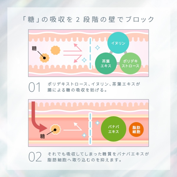 Qoo10] ETOA ÉTOA CALOXYCUT/エトアカロ