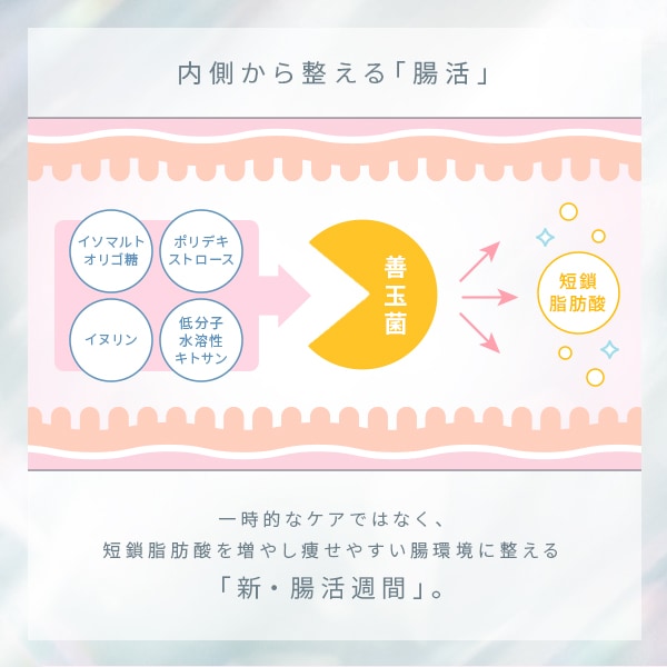 Qoo10] ETOA ÉTOA CALOXYCUT/エトアカロ