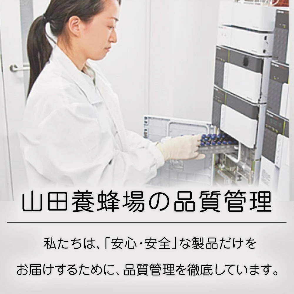 【山田養蜂場】 花粉荷 500g袋入 敬老の日 【山田養蜂場】 花粉荷 500g袋入 敬老の日