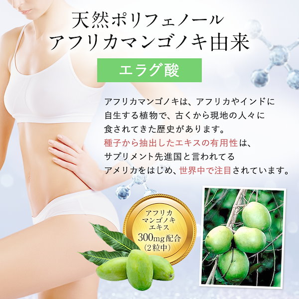 Healthy Beauty ダイエットサプリ 30食分×2パック Healthy Beauty ダイエットサプリ 30食分 2種セット