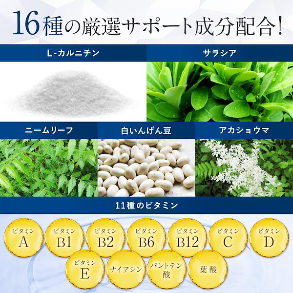 Qoo10] NaturePharma ナイシケアGOLD ダイエットサプリ エ