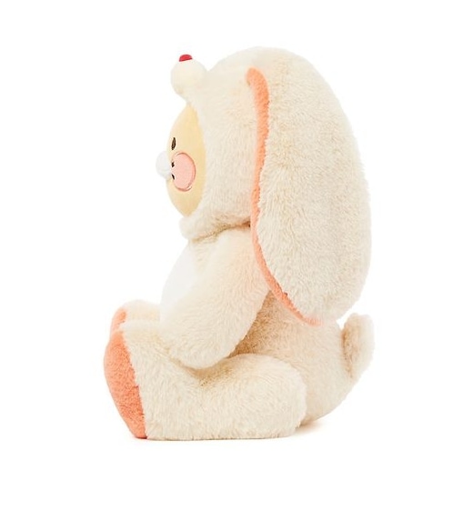 アプリコットスタジオXコラボ中型人形_チュンシク アプリコットスタジオXコラボ中型人形_チュンシク