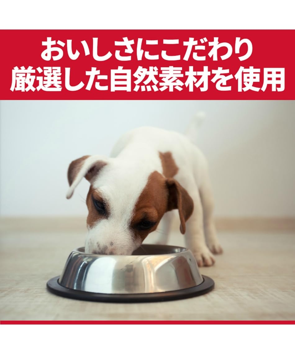 ヒルズ サイエンス・ダイエット ドッグフード 腸の健康サポートプラス 小型犬用 チキン 2.5kg 1歳以上 成犬用 高齢犬用 アダルト シニア ドライ お試し トライアル ヒルズ サイエンス・ダイエット ドッグフード 腸の健康サポートプラス 小型犬用 チキン 2.5kg 1歳以上 成犬用 高齢犬用 アダルト シニア ドライ お試し トライアル