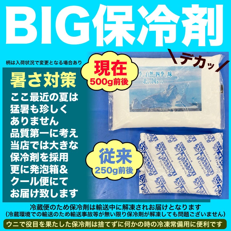 200g 塩水 バフンウニ 生 厳選A品プレミアム うに 雲丹 海栗 消費期限が短いため不在注意 お届け日指定不可／キャンセル不可_7