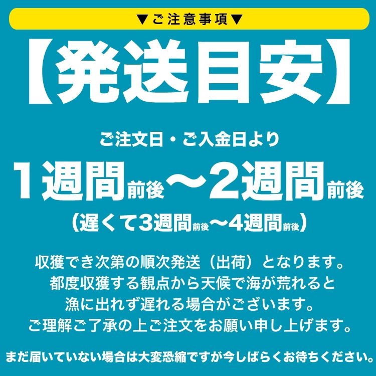 200g 塩水 バフンウニ 生 厳選A品プレミアム うに 雲丹 海栗 消費期限が短いため不在注意 お届け日指定不可／キャンセル不可_9