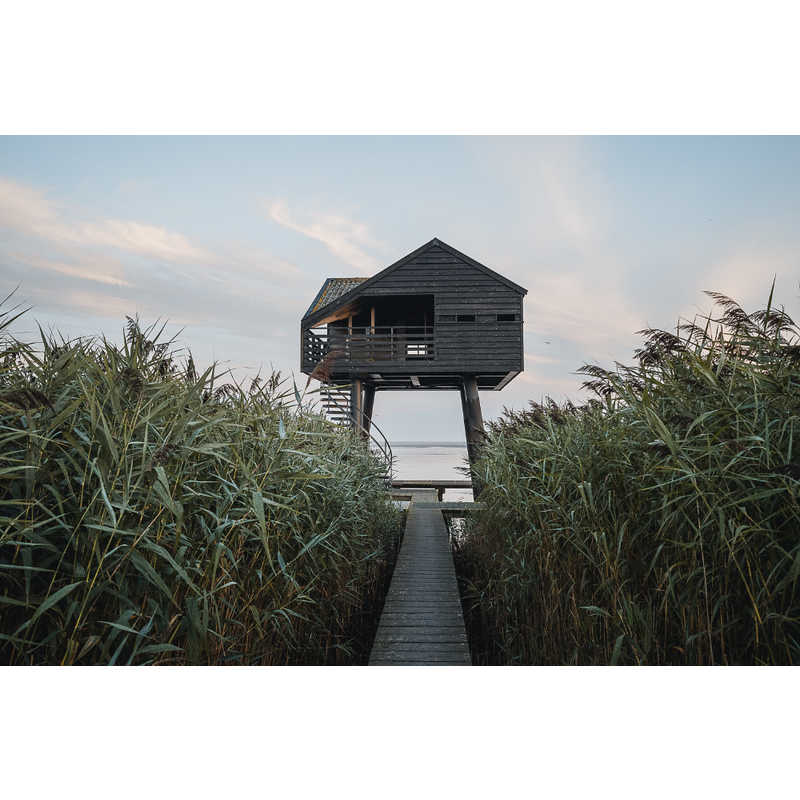 シグマ　カメラレンズ (キヤノンRF用)　Contemporary 10-18mm F2.8 DC DN