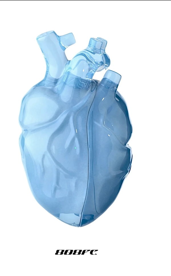 Amazon.com: Original Heart-Shaped Protective Case for