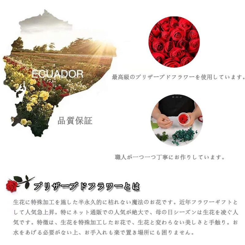 現品限り一斉値下げ バラ 妻 結婚記念日 花 プレゼント 枯れない花 プリザーブドフラワー ギフト ケース ガラスポット ドライフラワー