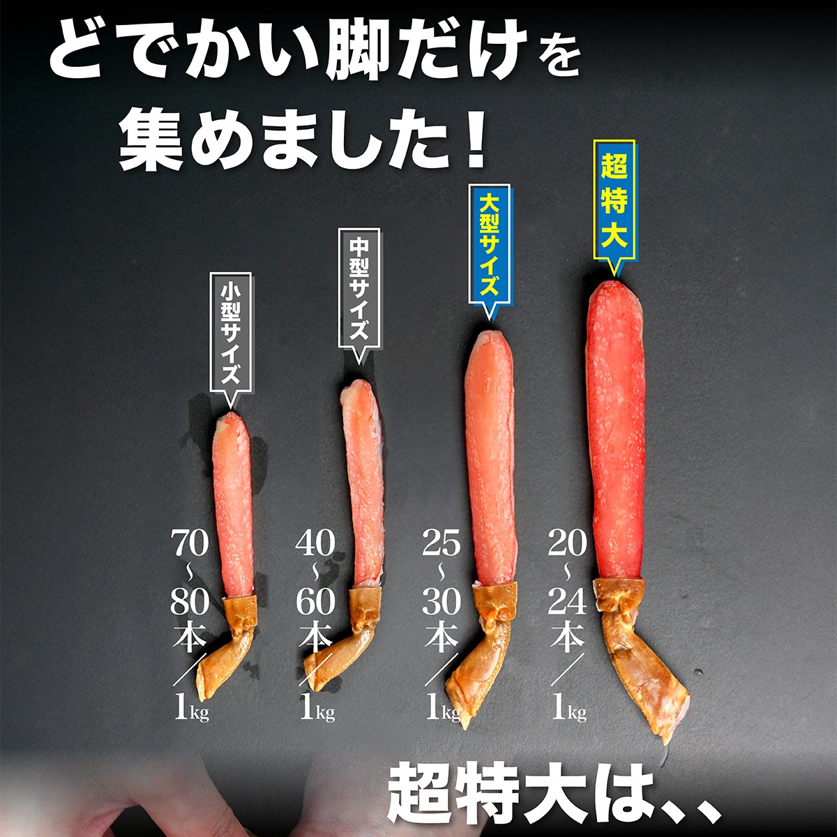 太脚だけの贅沢セット!生ズワイガニ ポーション 1kg カニ 生食OK お刺身 かにしゃぶ ずわい蟹 特大 太脚だけの贅沢セット!生ズワイガニ ポーション 1kg カニ 生食OK お刺身 かにしゃぶ ずわい蟹 特大