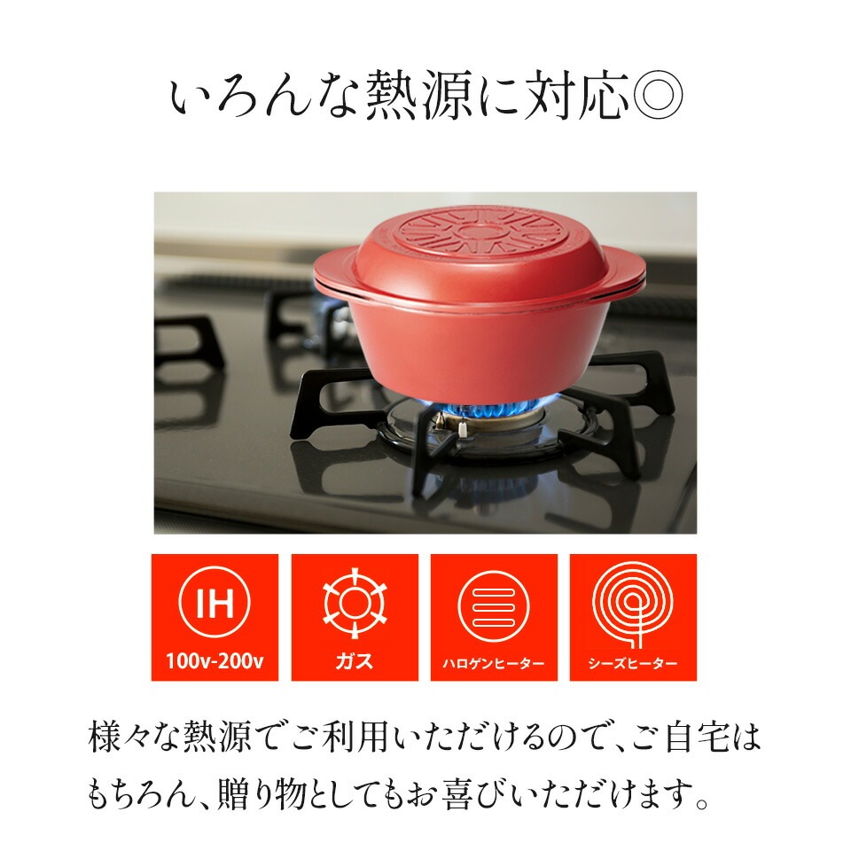 スケーター 水なし万能鍋 ベーシック ANWP1 4973307289354