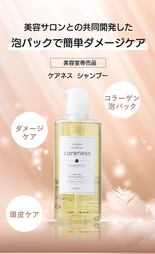 CARENESS ケアネス テラケア トリートメント 1000g 業務用 レフィル