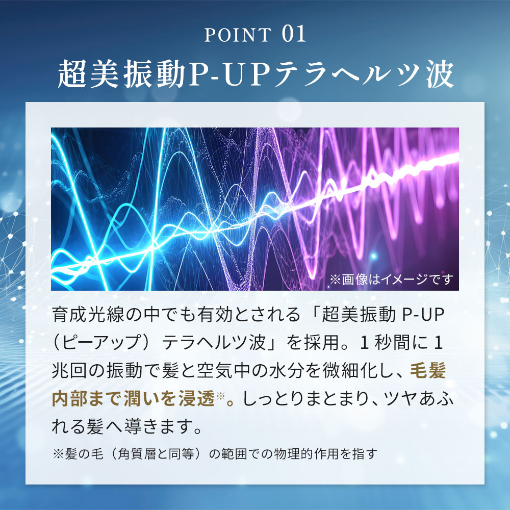 Qoo10] 大阪ブラシ P-UP XTERA ケミストリー ピー