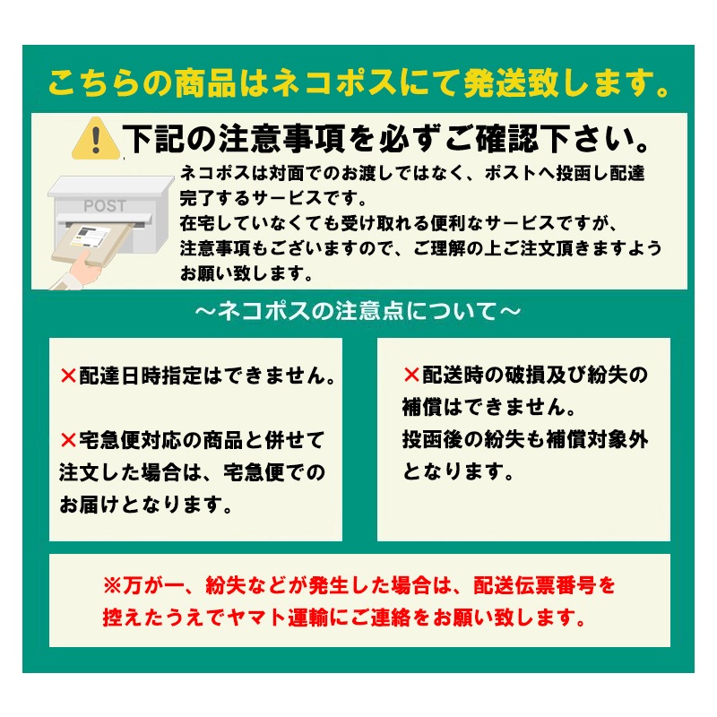 スノービューティー 2025 ブライトニング スキンケアパウダーA フェイスパウダー 25g レフィル 国内正規品 スノービューティー 2025 ブライトニング スキンケアパウダーA フェイスパウダー 25g レフィル 国内正規品