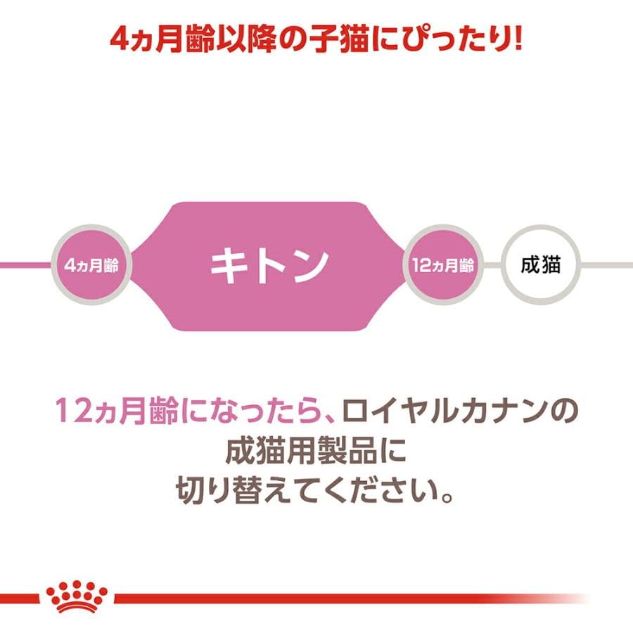 【ロイヤルカナン キトン 2kg 】 成長 後期 の 子猫 用 生後 12ヶ月 まで 総合 栄養 食 免疫力 脳 の 発達 腸内 細菌 バランス 消化 サポート (2kg 1袋) 【ロイヤルカナン キトン 2kg 】 成長 後期 の 子猫 用 生後 12ヶ月 まで 総合 栄養 食 免疫力 脳 の 発達 腸内 細菌 バランス 消化 サポート (2kg 1袋)