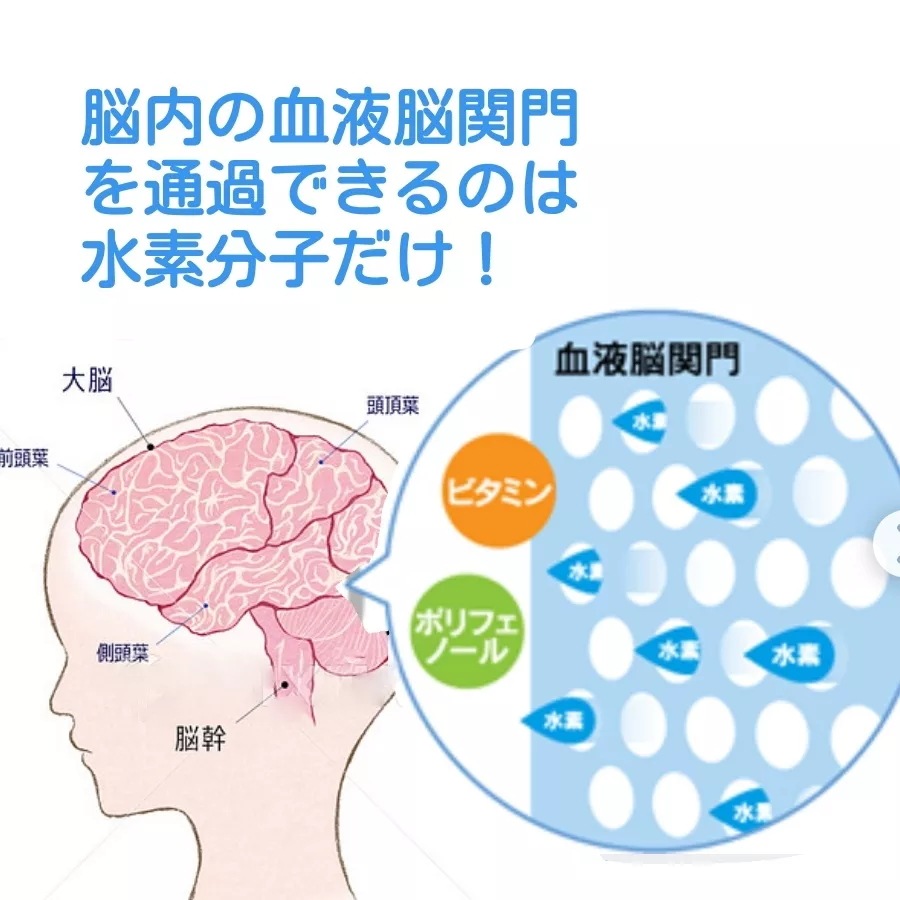 プラチナ水素サプリメント プラチナ水素サプリメント