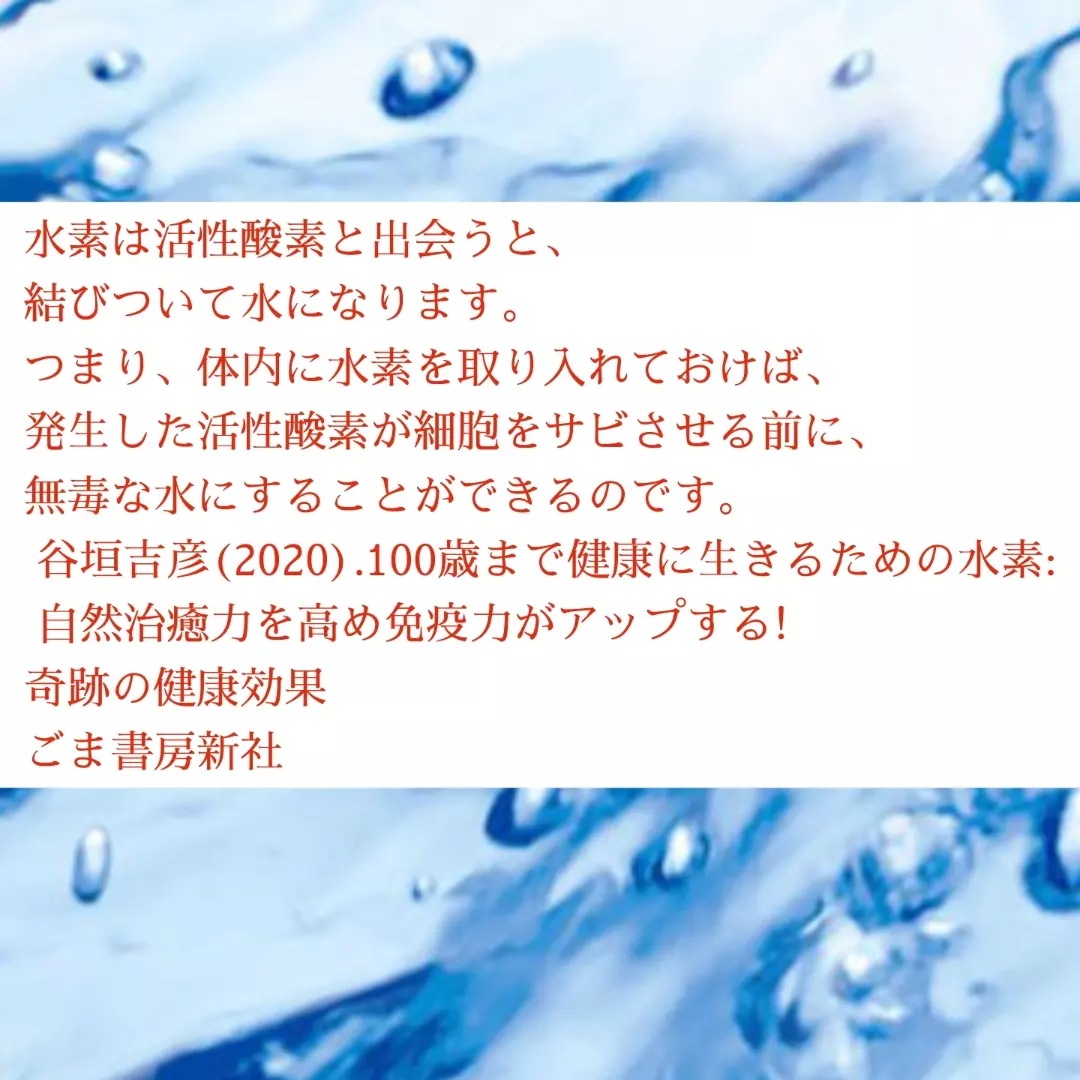 プラチナ水素サプリメント プラチナ水素サプリメント