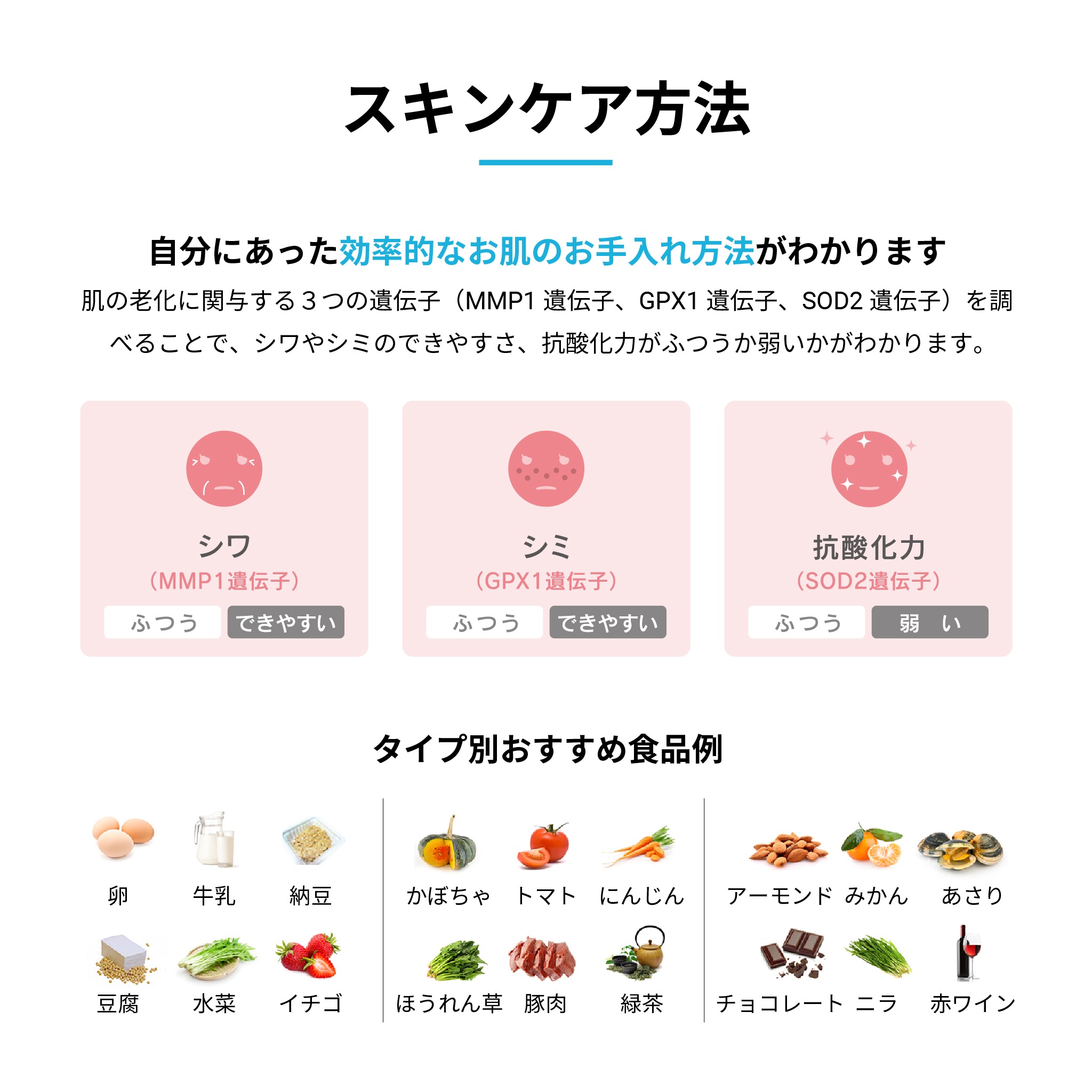 【メガ割限定特価】GeneLife人気No1 総合遺伝子検査 [Genesis2.0 Plus] 360項目解析 DNA検査キット / がんリスク 遺伝子型ダイエット 肌タイプ 筋肉タイプ 祖先