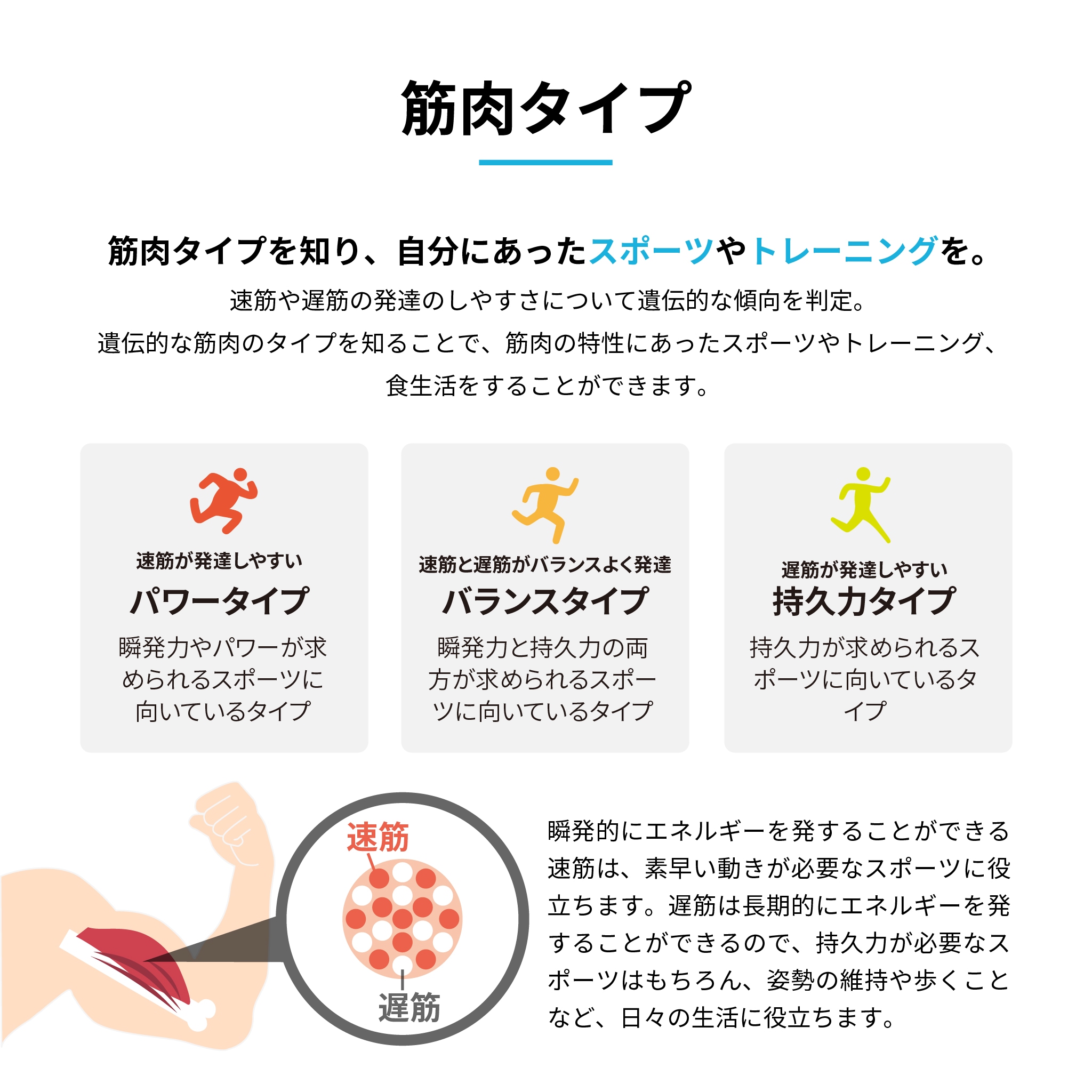 【メガ割限定特価】GeneLife人気No1 総合遺伝子検査 [Genesis2.0 Plus] 360項目解析 DNA検査キット / がんリスク 遺伝子型ダイエット 肌タイプ 筋肉タイプ 祖先