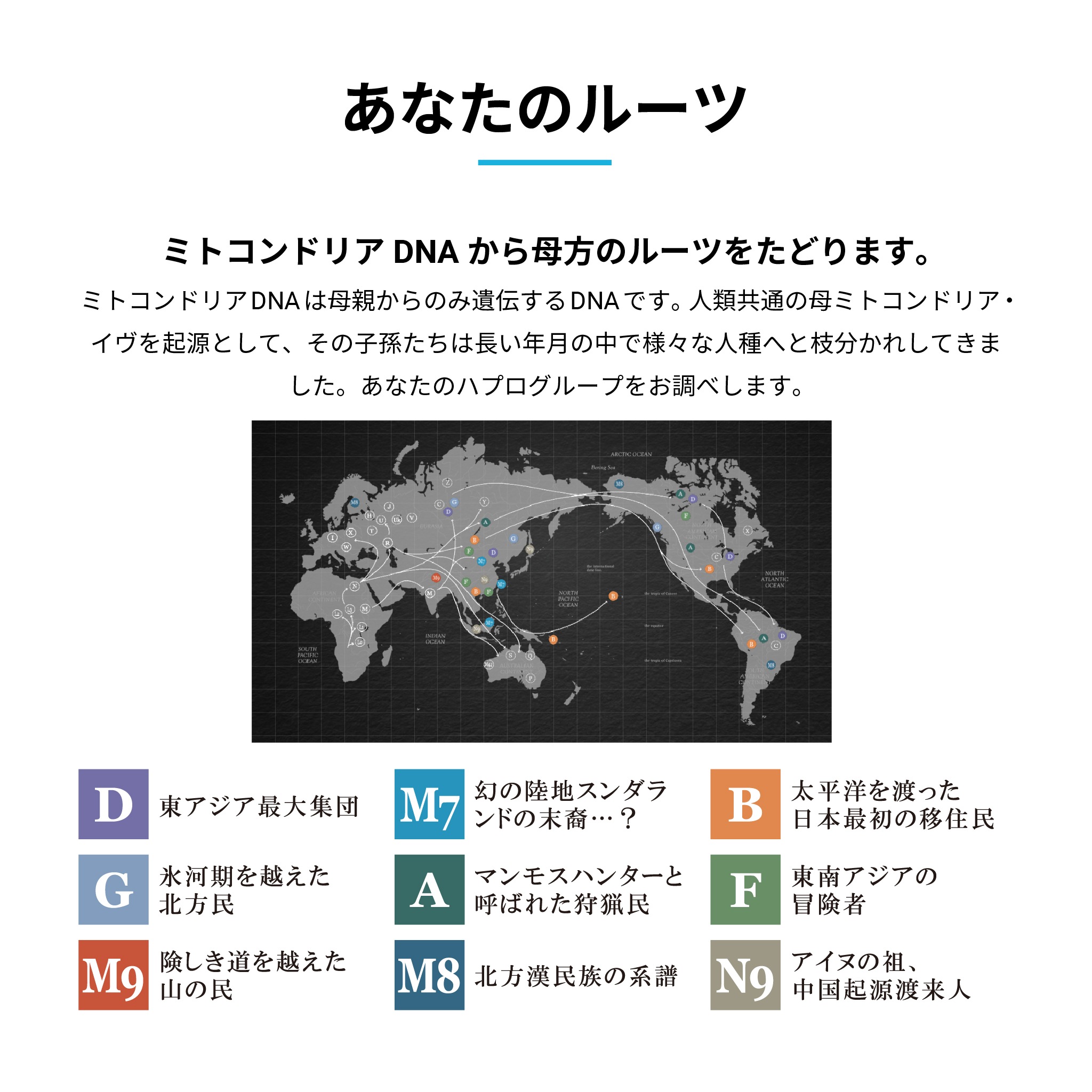【メガ割限定特価】GeneLife人気No1 総合遺伝子検査 [Genesis2.0 Plus] 360項目解析 DNA検査キット / がんリスク 遺伝子型ダイエット 肌タイプ 筋肉タイプ 祖先